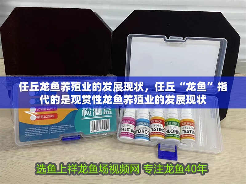 任丘龍魚養(yǎng)殖業(yè)的發(fā)展現(xiàn)狀，任丘“龍魚”指代的是觀賞性龍魚養(yǎng)殖業(yè)的發(fā)展現(xiàn)狀