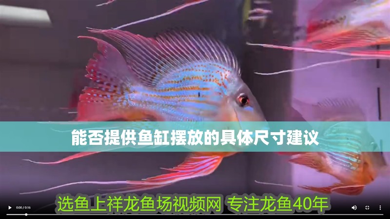 能否提供魚缸擺放的具體尺寸建議