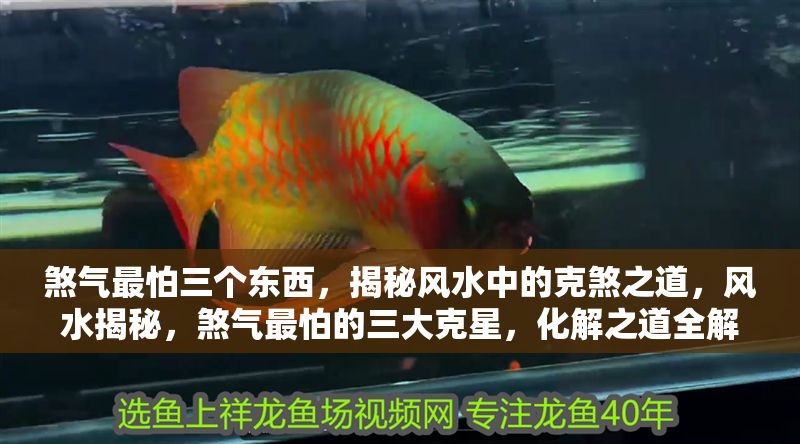 煞氣最怕三個東西，揭秘風水中的克煞之道，風水揭秘，煞氣最怕的三大克星，化解之道全解析