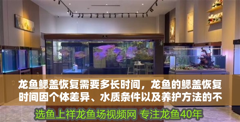 龍魚鰓蓋恢復(fù)需要多長時間，龍魚的鰓蓋恢復(fù)時間因個體差異、水質(zhì)條件以及養(yǎng)護(hù)方法的不同而有所變化