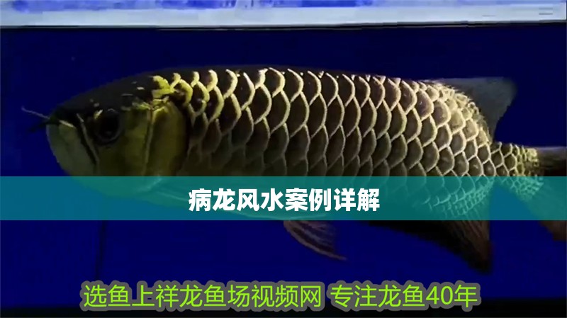 病龍風(fēng)水案例詳解