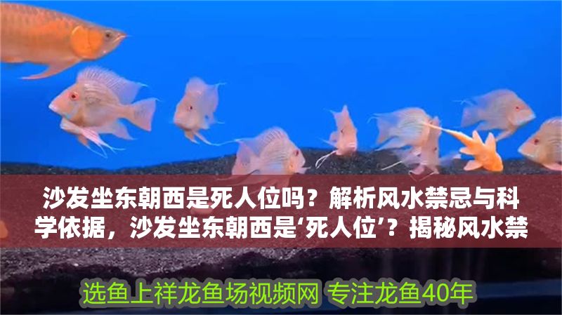 沙發坐東朝西是死人位嗎？解析風水禁忌與科學依據，沙發坐東朝西是‘死人位’？揭秘風水禁忌背后的真相與科學依據