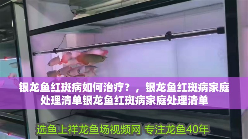 銀龍魚紅斑病如何治療？，銀龍魚紅斑病家庭處理清單銀龍魚紅斑病家庭處理清單