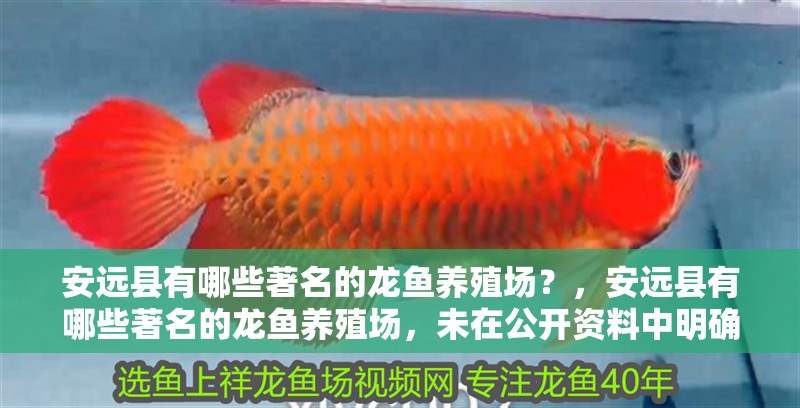 安遠縣有哪些著名的龍魚養殖場？，安遠縣有哪些著名的龍魚養殖場，未在公開資料中明確標注為“龍魚”養殖基地
