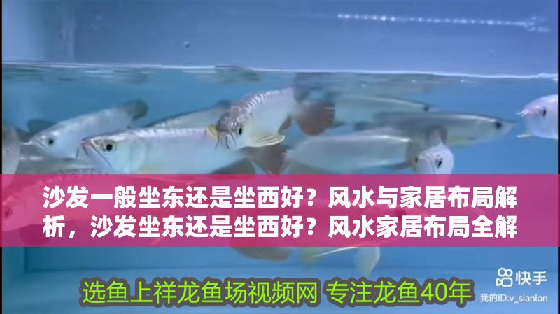 沙發(fā)一般坐東還是坐西好？風(fēng)水與家居布局解析，沙發(fā)坐東還是坐西好？風(fēng)水家居布局全解析