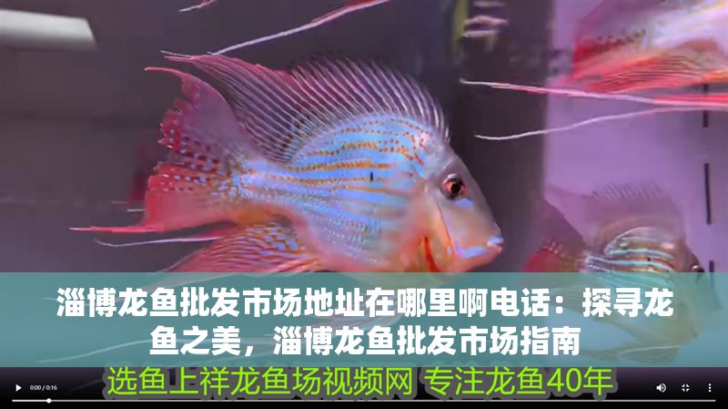 <strong><mark>淄博</mark></strong>龍魚批發市場地址在哪里啊電話：探尋龍魚之美，<strong><mark>淄博</mark></strong>龍魚批發市場指南