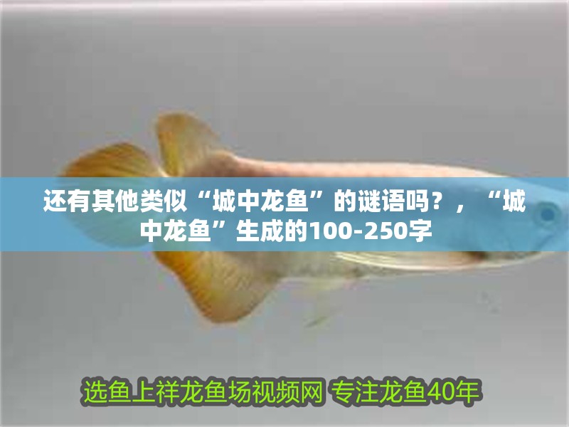 還有其他類似“城中龍魚”的謎語嗎？，“城中龍魚”生成的100-250字