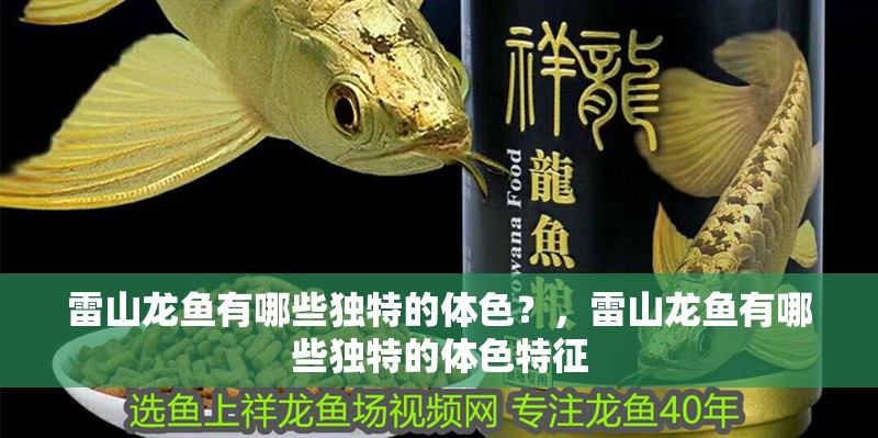 雷山龍魚有哪些獨特的體色？，雷山龍魚有哪些獨特的體色特征