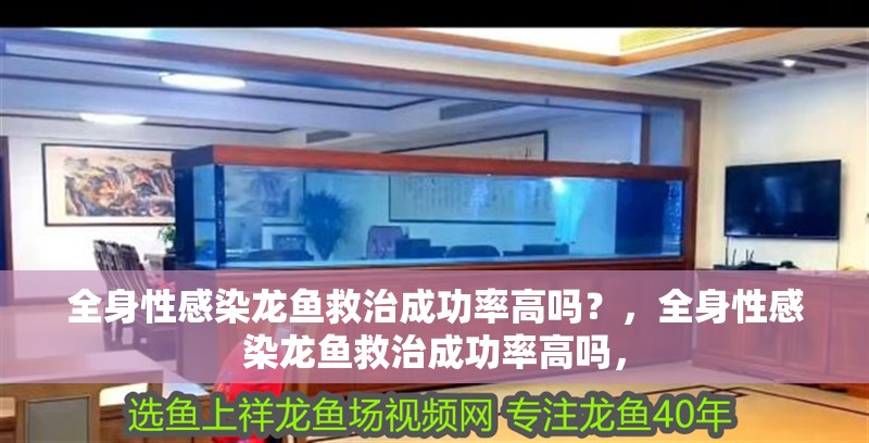 全身性感染龍魚救治成功率高嗎？，全身性感染龍魚救治成功率高嗎，