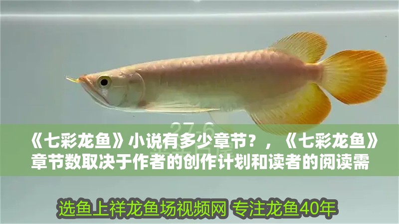 《七彩龍魚(yú)》小說(shuō)有多少章節(jié)？，《七彩龍魚(yú)》章節(jié)數(shù)取決于作者的創(chuàng)作計(jì)劃和讀者的閱讀需求