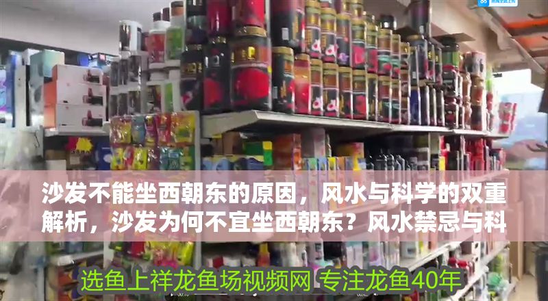 沙發不能坐西朝東的原因，風水與科學的雙重解析，沙發為何不宜坐西朝東？風水禁忌與科學依據全解析