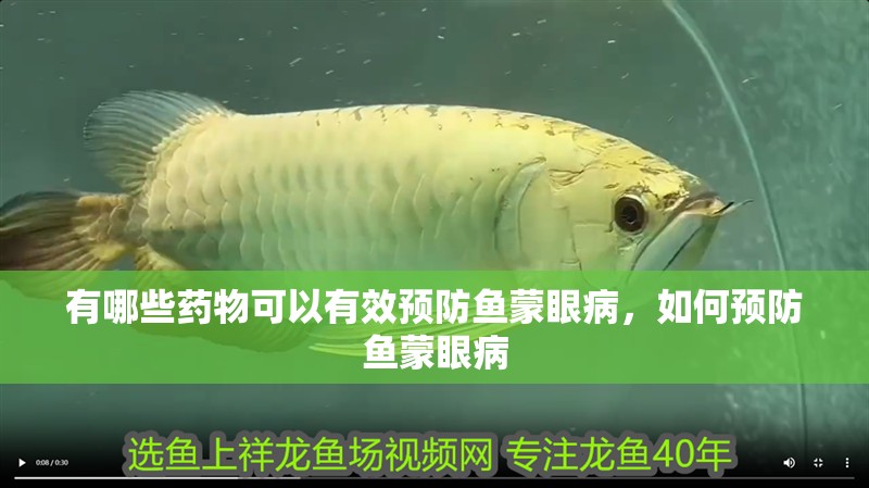 有哪些藥物可以有效預(yù)防魚蒙眼病，如何預(yù)防魚蒙眼病