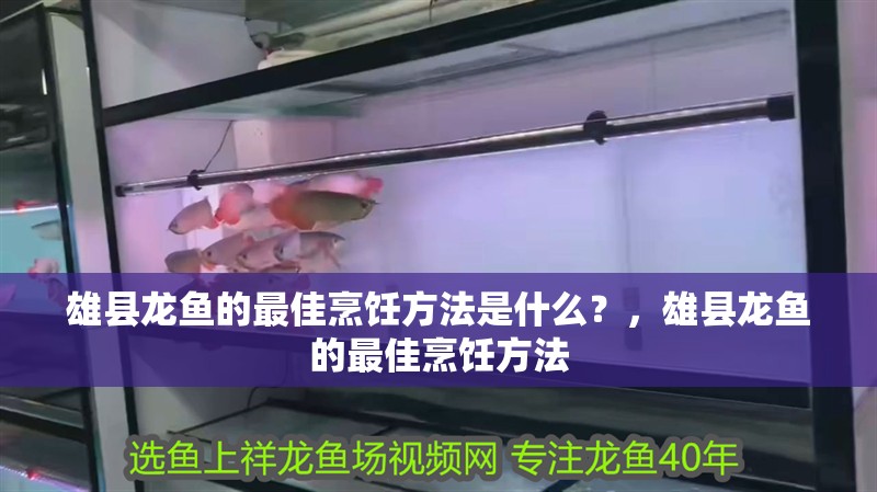 雄縣龍魚的最佳烹飪方法是什么？，雄縣龍魚的最佳烹飪方法