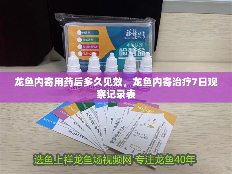 龍魚內寄用藥后多久見效，龍魚內寄治療7日觀察記錄表