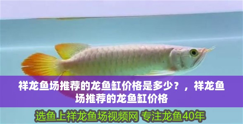 祥龍魚場推薦的龍魚缸價格是多少？，祥龍魚場推薦的龍魚缸價格