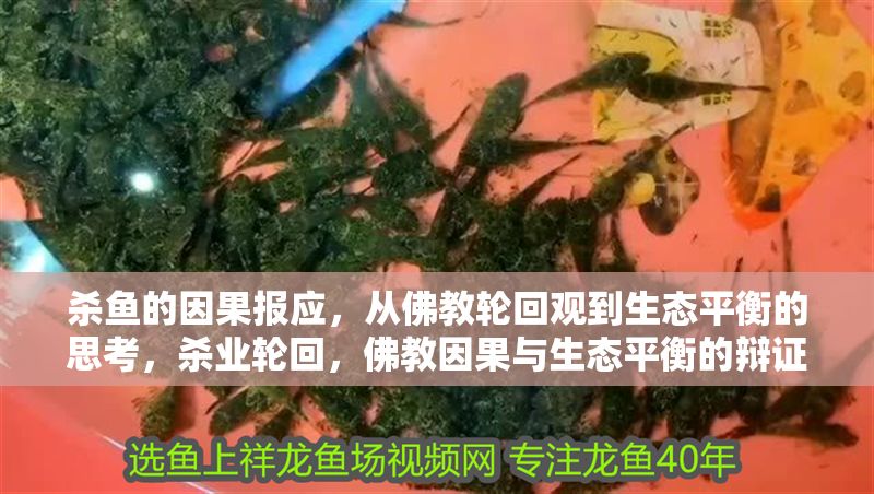 殺魚的因果報應，從佛教輪回觀到生態平衡的思考，殺業輪回，佛教因果與生態平衡的辯證思考