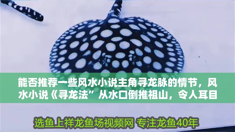 能否推薦一些風(fēng)水小說主角尋龍脈的情節(jié)，風(fēng)水小說《尋龍法”從水口倒推祖山，令人耳目一新