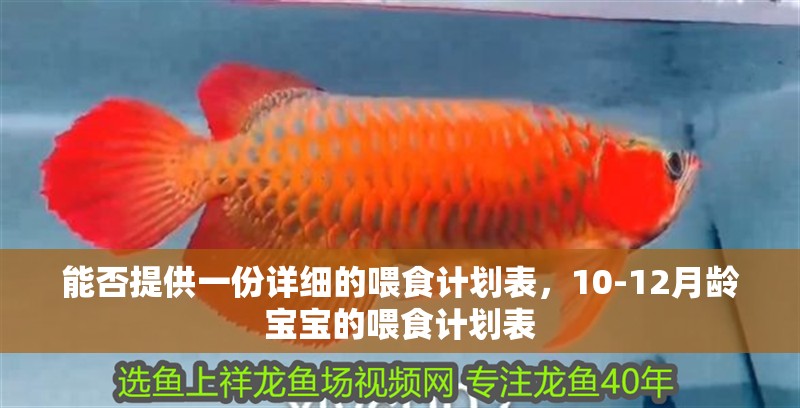 能否提供一份詳細(xì)的喂食計(jì)劃表，10-12月齡寶寶的喂食計(jì)劃表