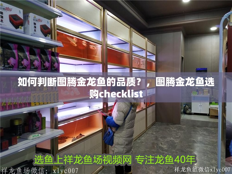 如何判斷圖騰金龍魚的品質？，圖騰金龍魚選購checklist