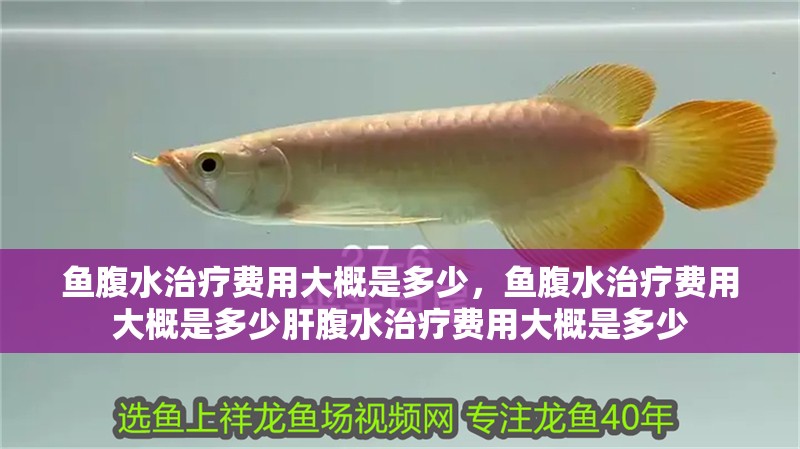 魚腹水治療費用大概是多少，魚腹水治療費用大概是多少肝腹水治療費用大概是多少