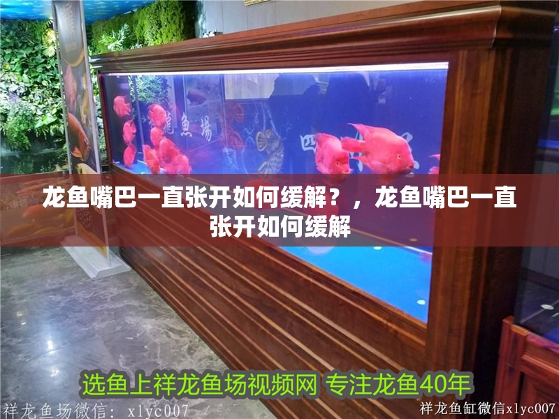 龍魚嘴巴一直張開如何緩解？，龍魚嘴巴一直張開如何緩解