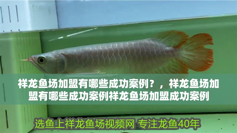 祥龍魚場加盟有哪些成功案例？，祥龍魚場加盟有哪些成功案例祥龍魚場加盟成功案例