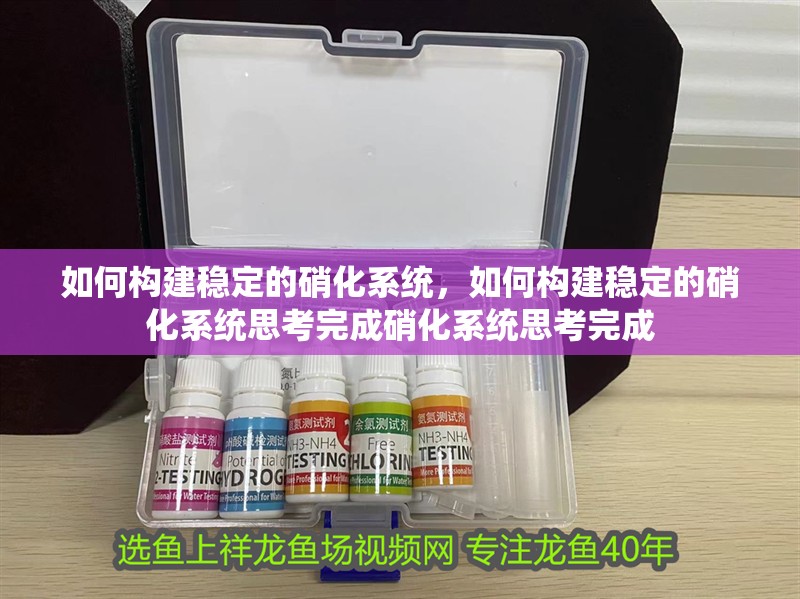 如何構建穩定的硝化系統，如何構建穩定的硝化系統思考完成硝化系統思考完成