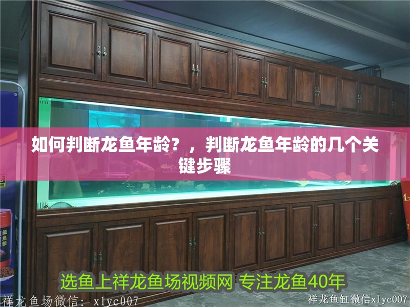如何判斷龍魚年齡？，判斷龍魚年齡的幾個關鍵步驟