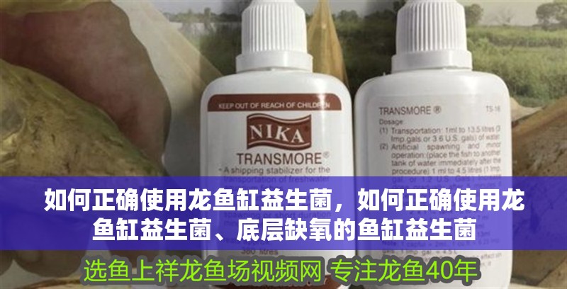 如何正確使用龍魚缸益生菌，如何正確使用龍魚缸益生菌、底層缺氧的魚缸益生菌