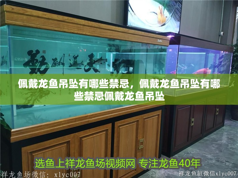 佩戴龍魚吊墜有哪些禁忌，佩戴龍魚吊墜有哪些禁忌佩戴龍魚吊墜