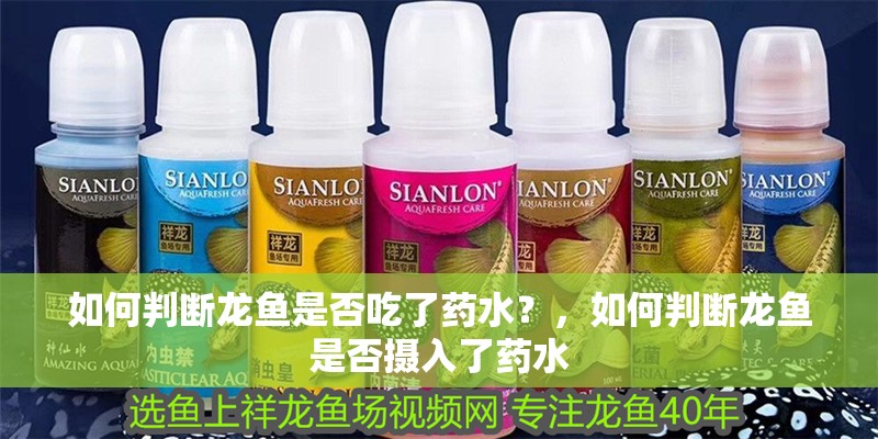 如何判斷龍魚是否吃了藥水?,如何判斷龍魚是否攝入了藥水