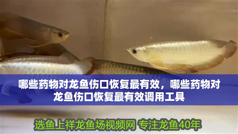 哪些藥物對龍魚傷口恢復最有效，哪些藥物對龍魚傷口恢復最有效調用工具
