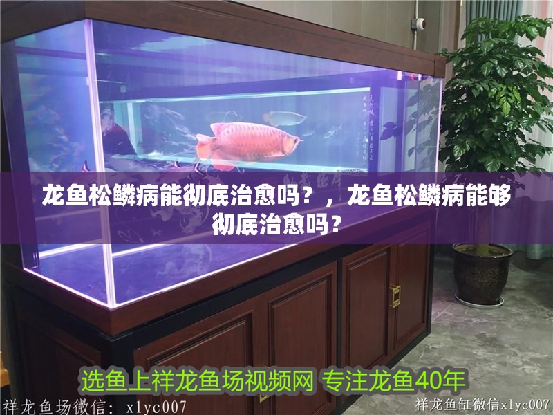 龍魚(yú)松鱗病能徹底治愈嗎？，龍魚(yú)松鱗病能夠徹底治愈嗎？