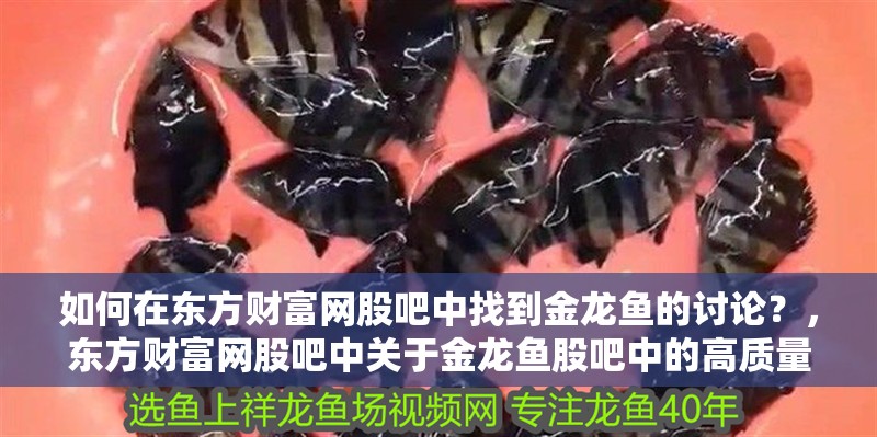 如何在東方財富網股吧中找到金龍魚的討論？，東方財富網股吧中關于金龍魚股吧中的高質量討論帖子