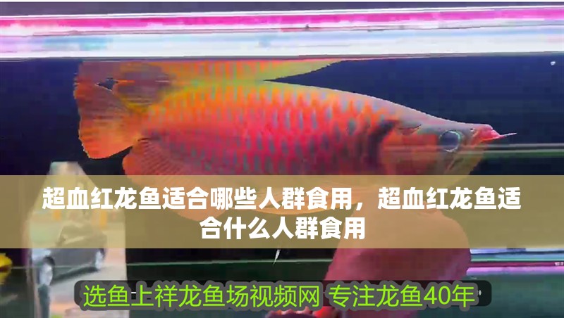 超血紅龍魚適合哪些人群食用，超血紅龍魚適合什么人群食用