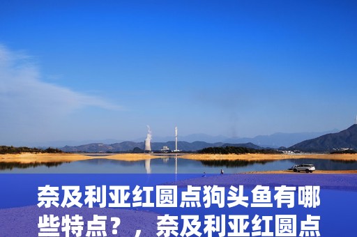 奈及利亞紅圓點狗頭魚有哪些特點？，奈及利亞紅圓點狗頭魚