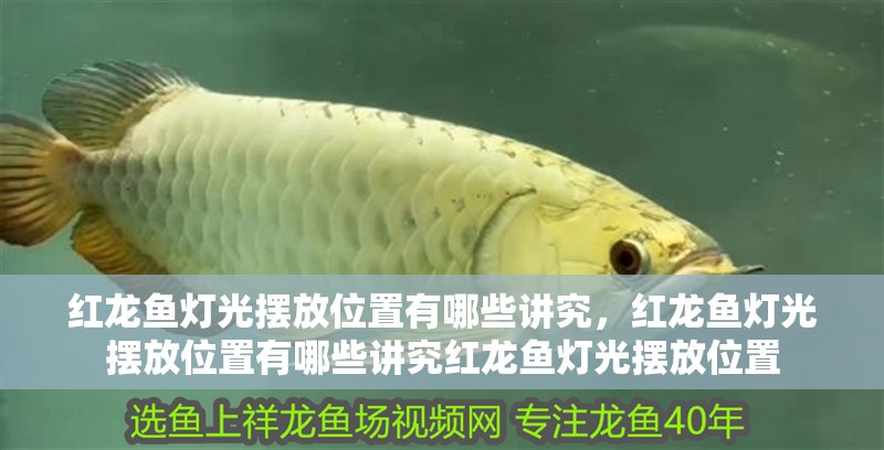 紅龍魚燈光擺放位置有哪些講究，紅龍魚燈光擺放位置有哪些講究紅龍魚燈光擺放位置