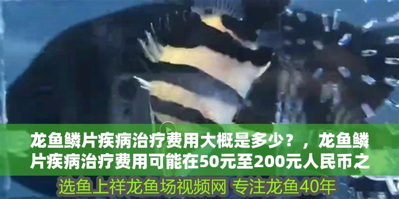 龍魚鱗片疾病治療費用大概是多少？，龍魚鱗片疾病治療費用可能在50元至200元人民幣之間