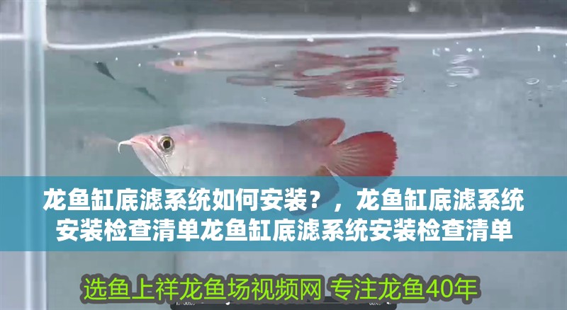 龍魚缸底濾系統(tǒng)如何安裝？，龍魚缸底濾系統(tǒng)安裝檢查清單龍魚缸底濾系統(tǒng)安裝檢查清單