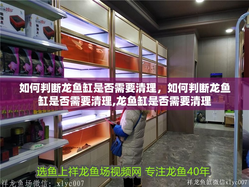 如何判斷龍魚缸是否需要清理，如何判斷龍魚缸是否需要清理,龍魚缸是否需要清理