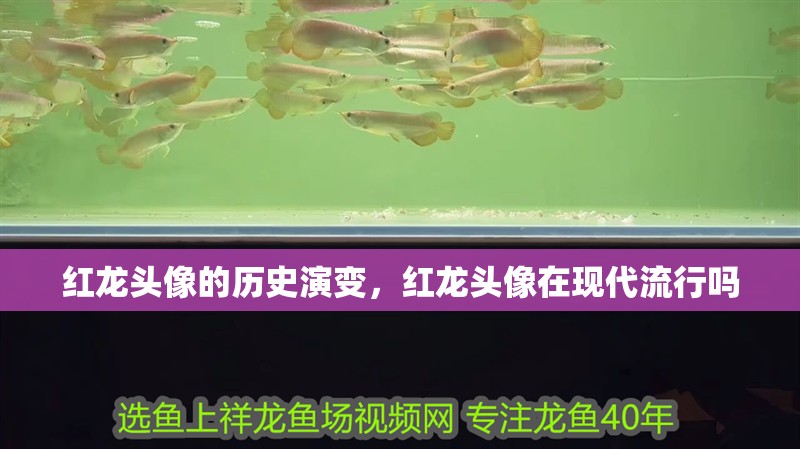紅龍頭像的歷史演變，紅龍頭像在現代流行嗎