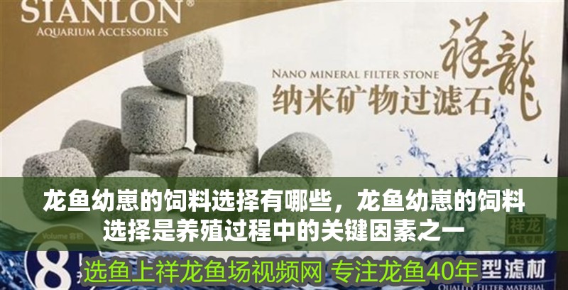 龍魚幼崽的飼料選擇有哪些，龍魚幼崽的飼料選擇是養殖過程中的關鍵因素之一