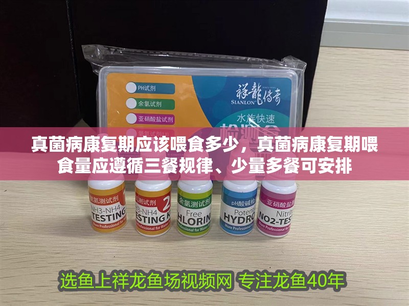 真菌病康復期應該喂食多少，真菌病康復期喂食量應遵循三餐規律、少量多餐可安排