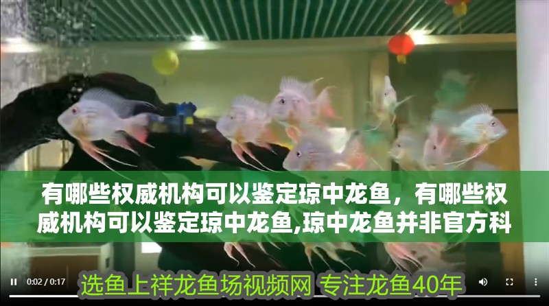 有哪些權威機構可以鑒定瓊中龍魚，有哪些權威機構可以鑒定瓊中龍魚,瓊中龍魚并非官方科學命名物種