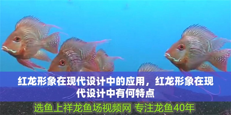 紅龍形象在現代設計中的應用，紅龍形象在現代設計中有何特點