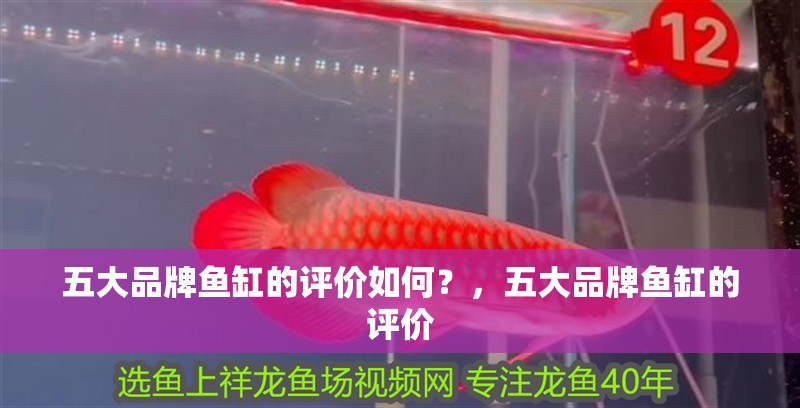 五大品牌魚(yú)缸的評(píng)價(jià)如何？，五大品牌魚(yú)缸的評(píng)價(jià)