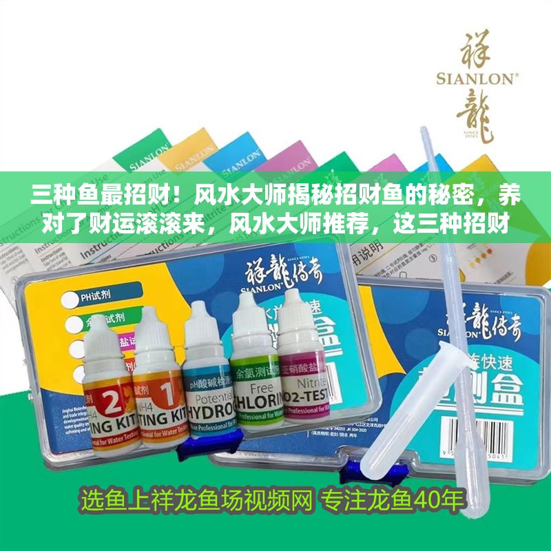 三種魚最招財！風水大師揭秘招財魚的秘密，養對了財運滾滾來，風水大師推薦，這三種招財魚養對了，財運滾滾來！