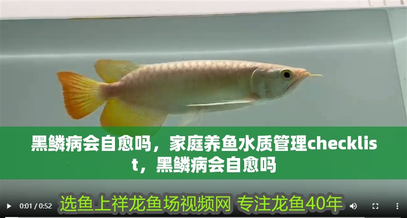 黑鱗病會自愈嗎，家庭養魚水質管理checklist，黑鱗病會自愈嗎