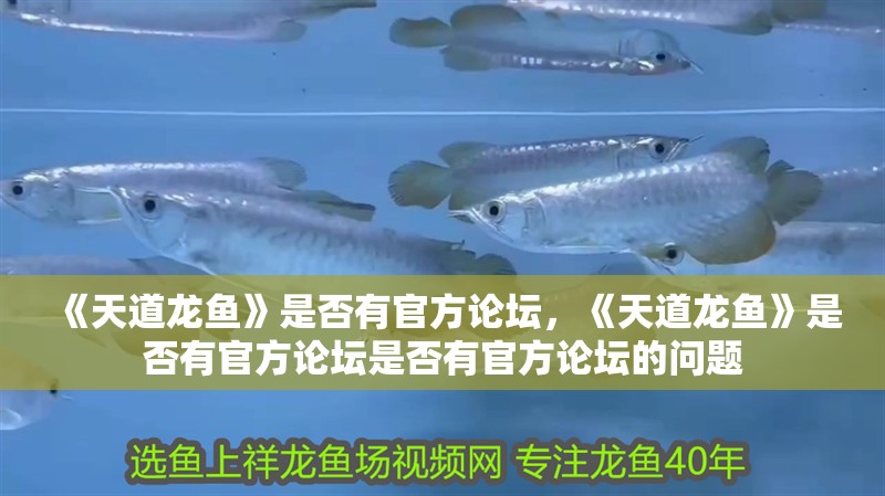 《天道龍魚》是否有官方論壇，《天道龍魚》是否有官方論壇是否有官方論壇的問題