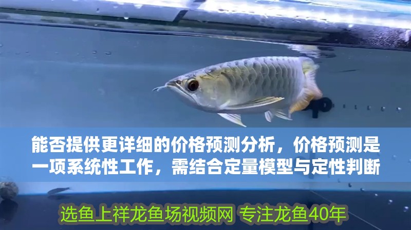 能否提供更詳細(xì)的價格預(yù)測分析，價格預(yù)測是一項系統(tǒng)性工作，需結(jié)合定量模型與定性判斷